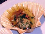 Scallops in Tecia